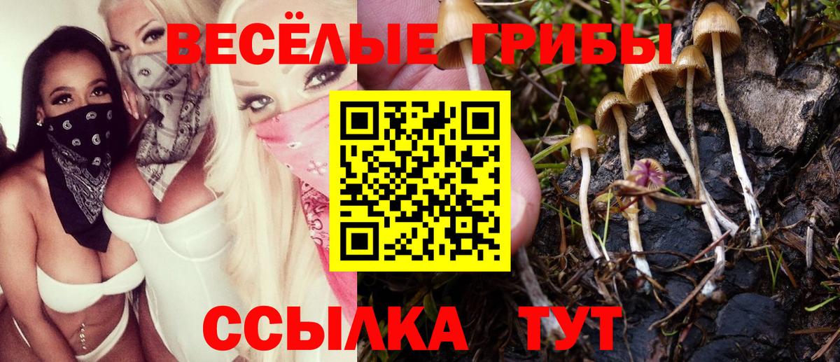 Псилоцибиновые грибы MAGIC MUSHROOMS Мыски