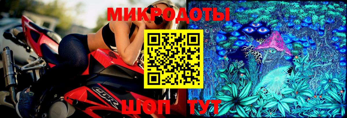 Галлюциногенные грибы Psilocybine cubensis  Вход с VPN  Мыски 